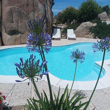 Villa Majore Beb Con Piscina Privata Rena Majore Dış mekan fotoğraf